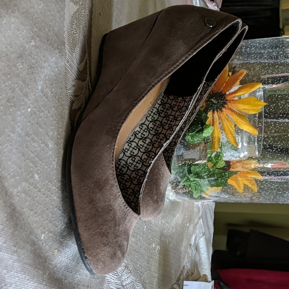 Suade shoes
